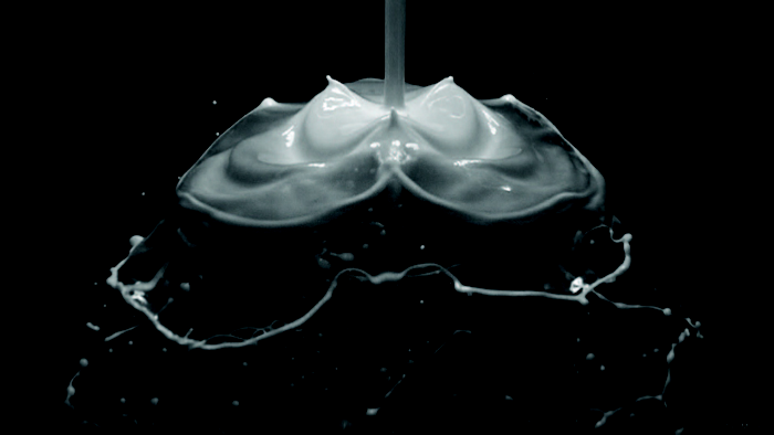 Tristan Ménez, Bloom, 2018