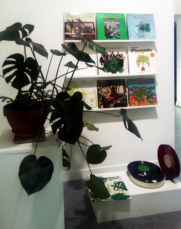 Vue de l’exposition Forêt Thérapie, Musique pour les plantes vertes, 2017