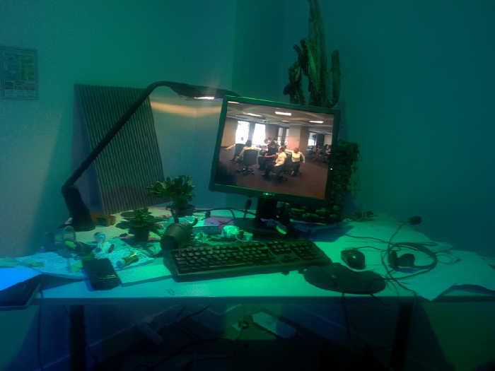 Vue de l’exposition Forêt Thérapie, Neoteny Trash Office, 2018