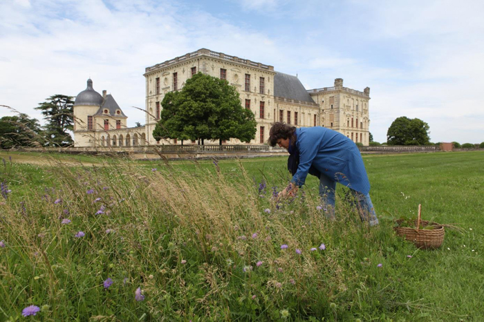 Julie C. Fortier lors de sa récolte de plantes, mai 2020. Photo Charly Muller 