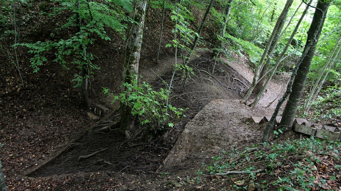 Enracinés de Douglas White au musée Dauphinois / la ferme