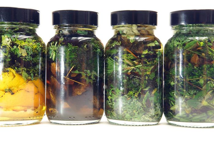 Julie C. Fortier, Macération de végétaux dans l’alcool, décembre 2019, photo Julie C. Fortier